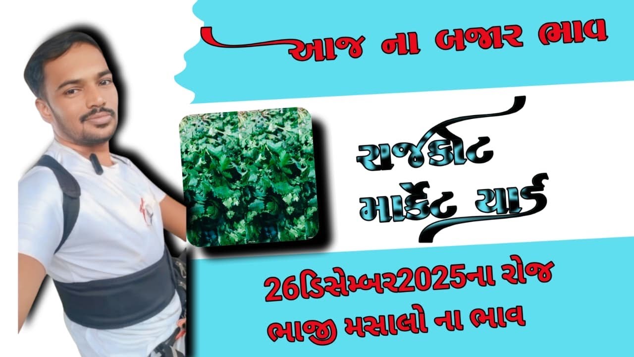 Rajkot masala market 26/12/2025 bhaji masala no bhav 