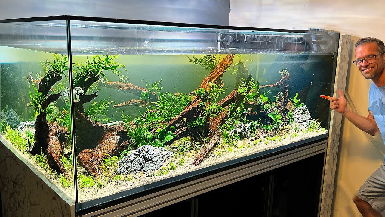 MY BIGGEST AND BEST EVER AQUASCAPE SO FAR - 500 GALLON STEP BY STEP SUPER VLOG!!