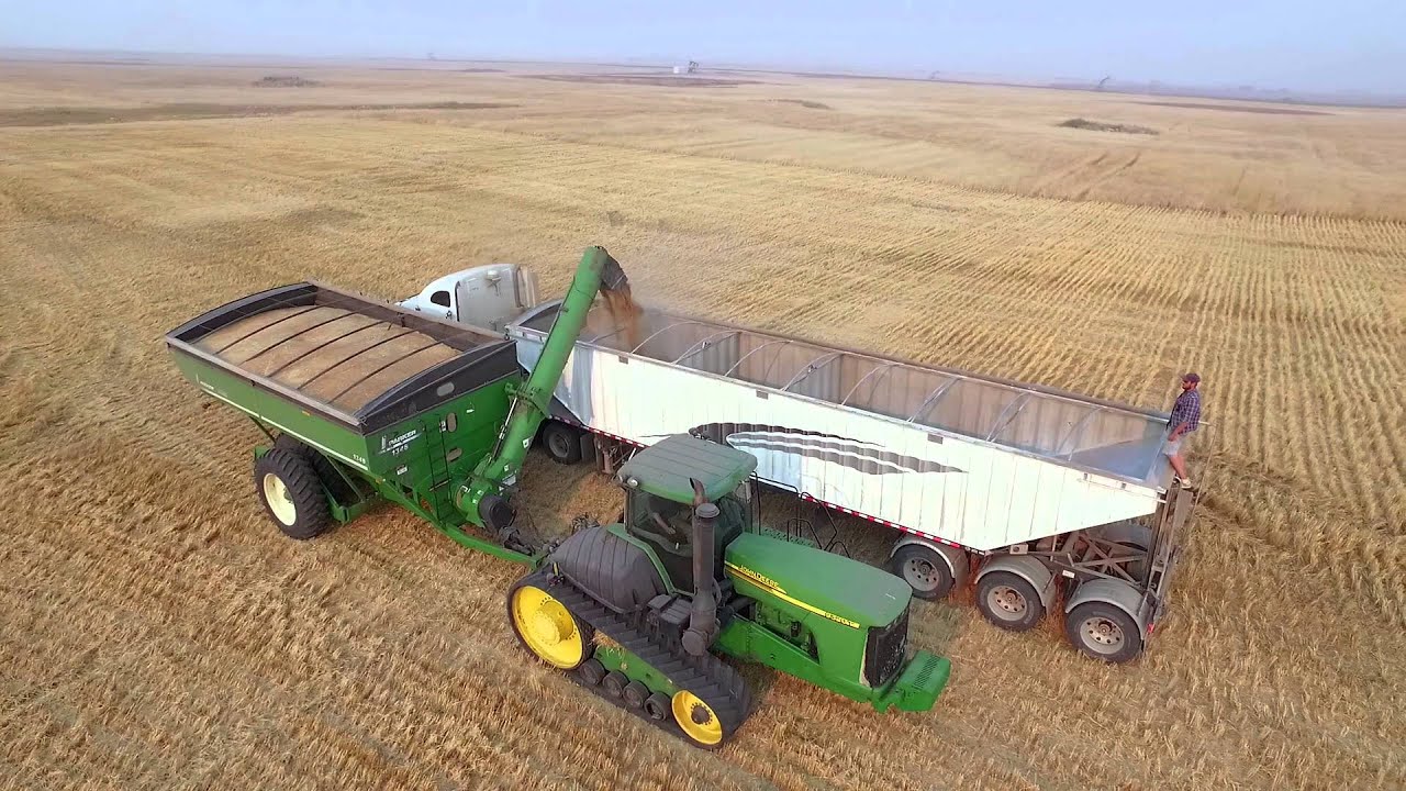 Walters Farm 2015