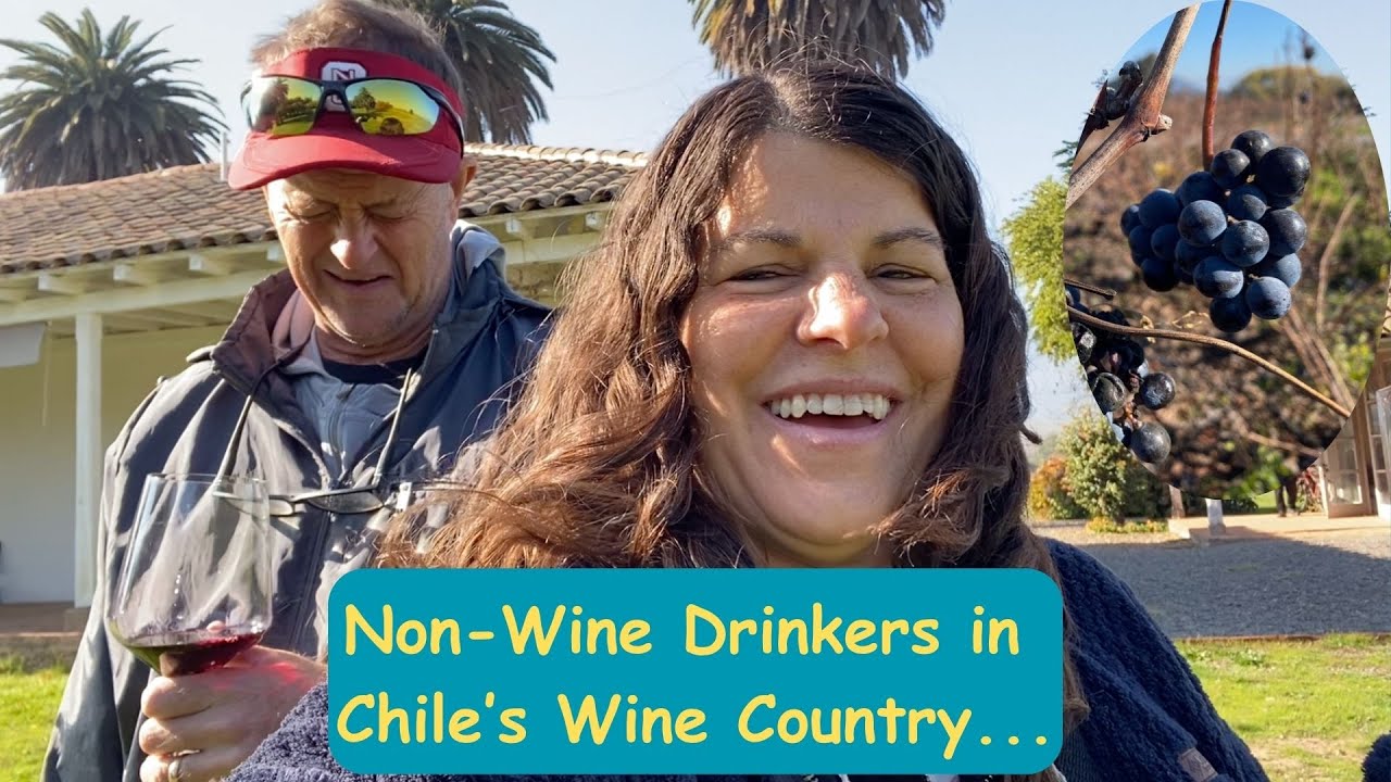 Our First Wine Tour – Two Non-Wine Drinkers in Chile’s Colchagua Valley (Empty Nesters Workaway)