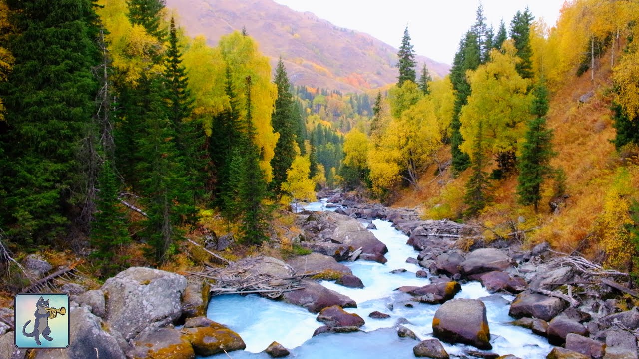 Beautiful Autumn Waterfall Scene 🍂 Relaxing Waterfall Sounds (No Music) • 12 Hours