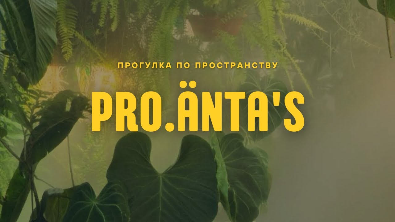 2. ПРОГУЛКА В ПРОСТРАНСТВЕ PRO.&Auml;NTA&rsquo;S | ОРАНЖЕРЕЯ, ГДЕ ЖИВЁТ ТИШИНА