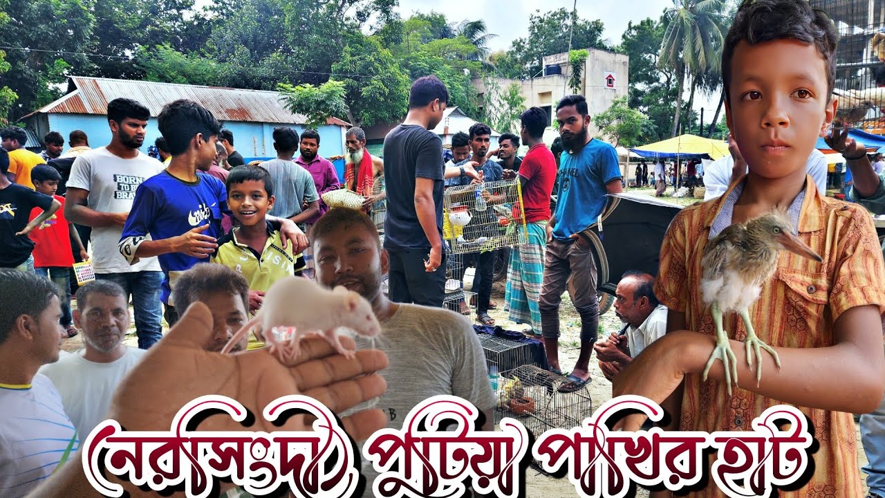 সব পাখির হাট কে ছাড়িয়ে গেল /নরসিংদী পুটিয়া পাখির হাট || Narsingdi Putia Bird Market || 05-08-2023