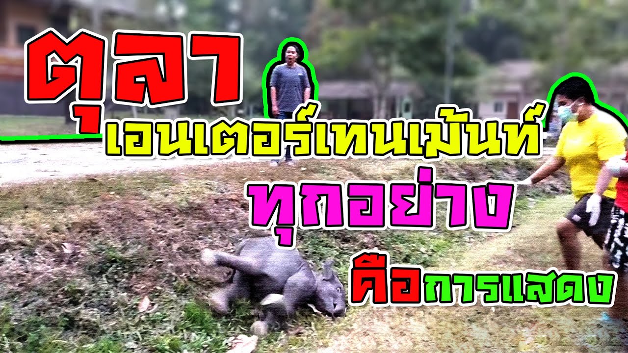 ตุลา 
