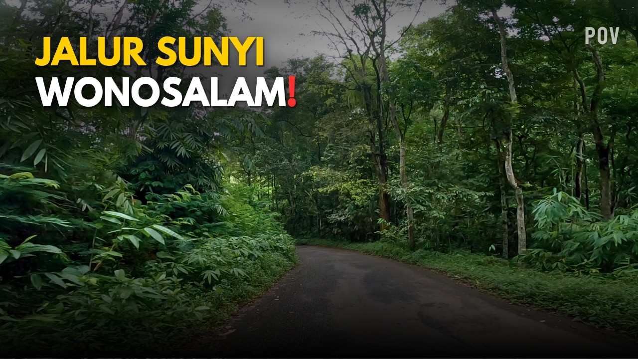 Melewati Jalur Sunyi Jatirejo–Wonosalam–Kandangan | Adem, Nanjak, Viewnya Gak Nalar!
