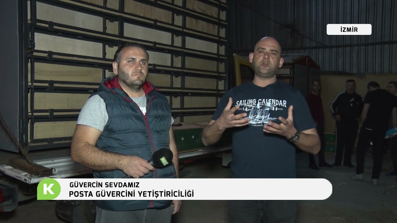 POSTA GÜVERCİNİ YETİŞTİRİCİLİĞİ | GÜVERCİN SEVDAMIZ