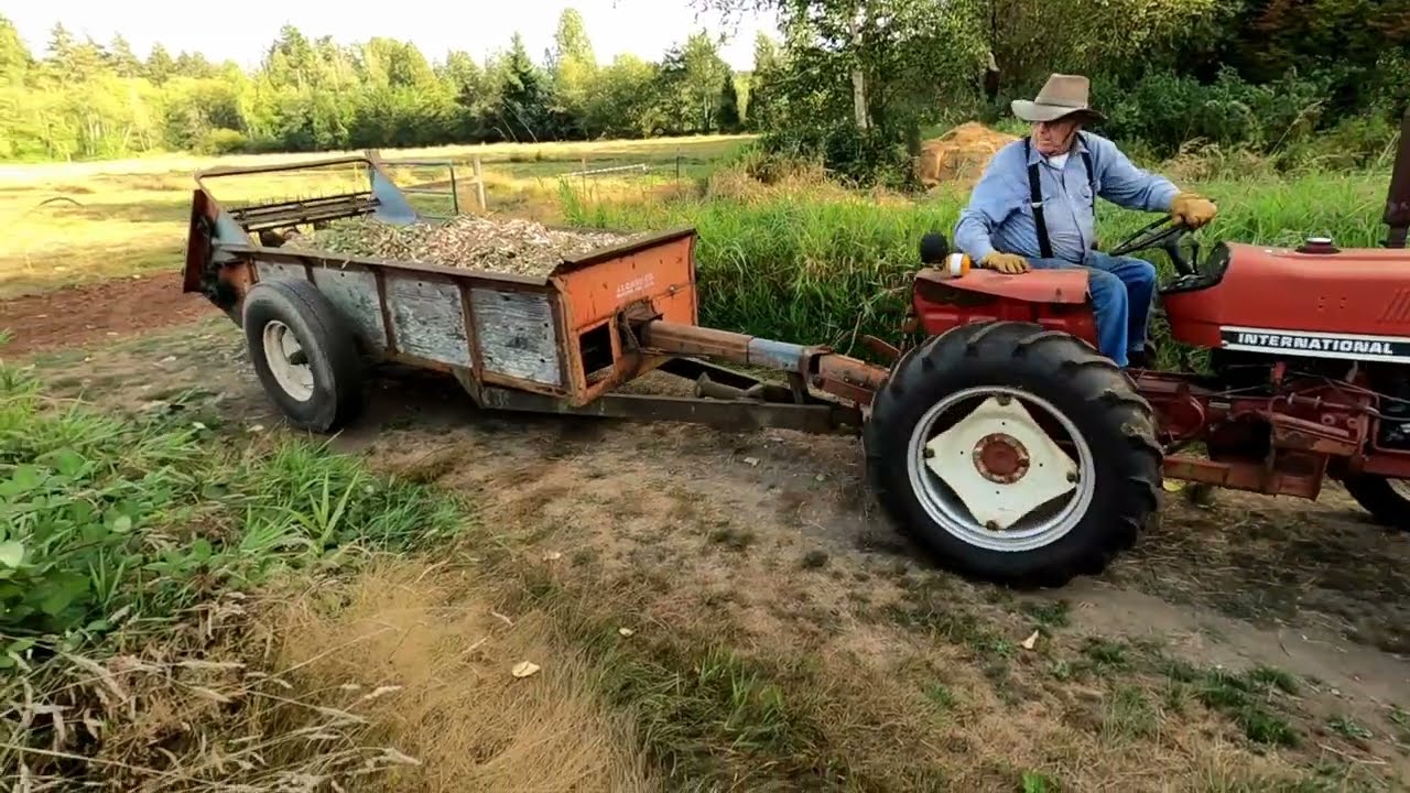 Spreading Alder chips with a J.I. Case Manure spreader
