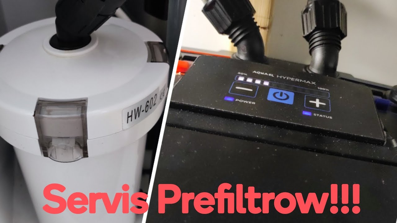 Hypermax 4500 i SunSun HW 602a 🔴Czyszczenie Prefiltrow! 🔴