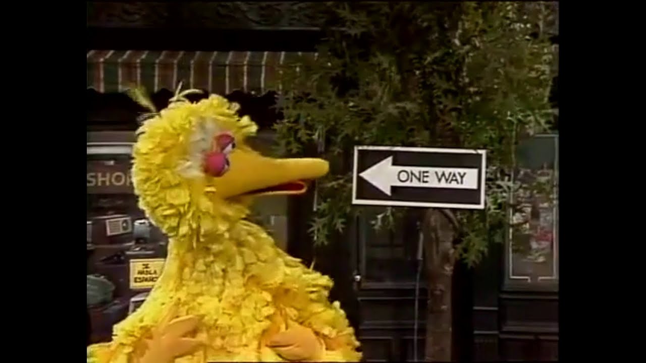 1146   Big Bird's ONE WAY Journey