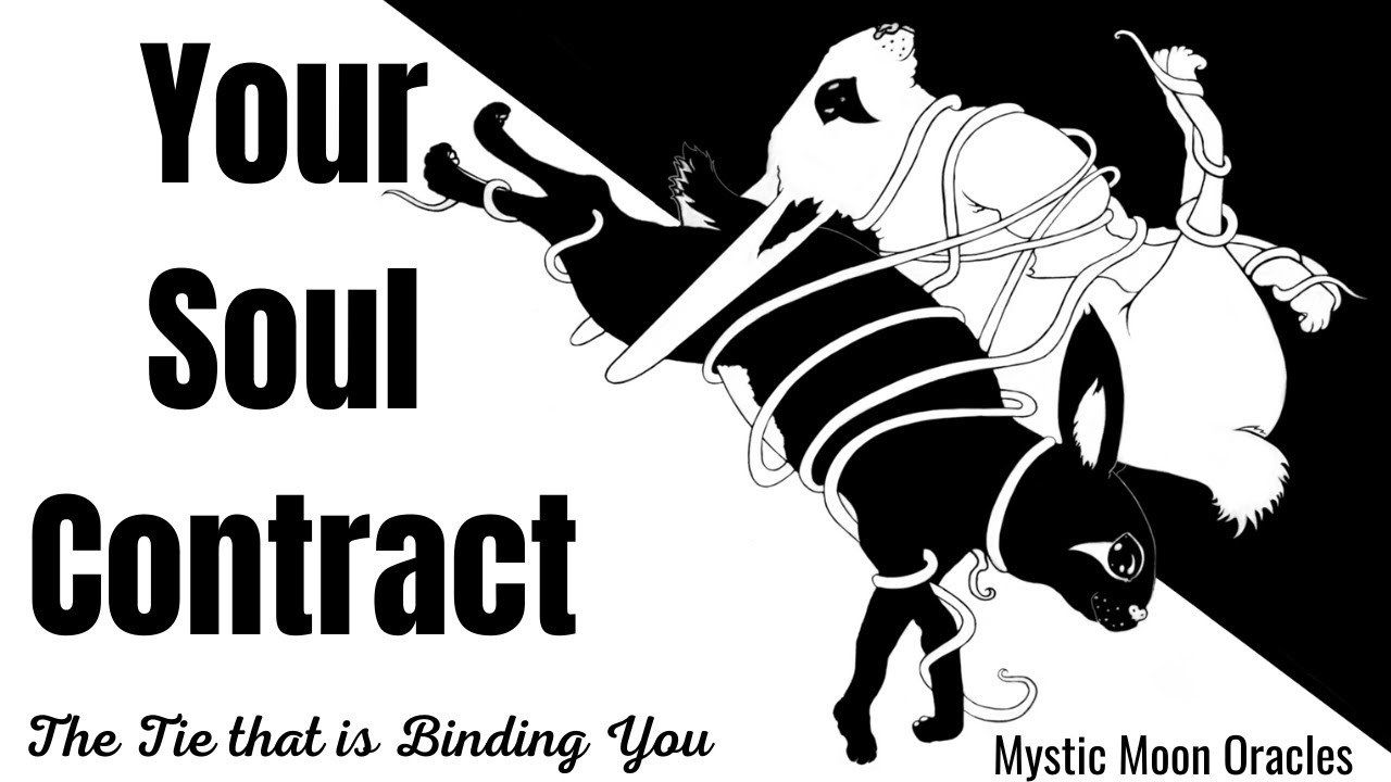 Your SOUL CONTRACT LOVE TAROT READING 🖤 What is the Theme of this Connection? (TIMELESS MESSAGES)