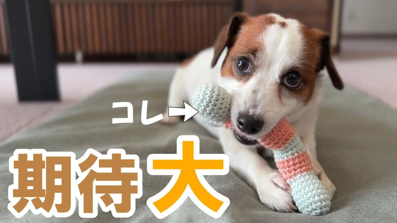 【はみがき効果⁉】遊びながら歯磨きできたら最高じゃない？