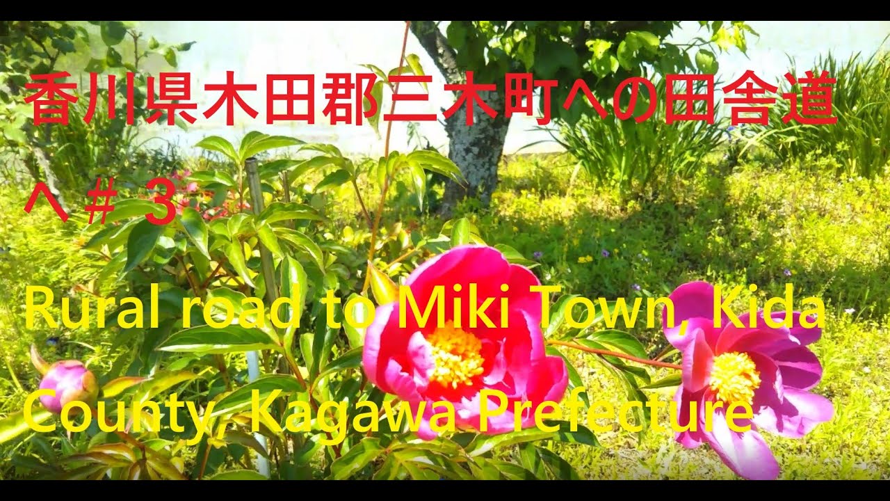 香川県木田郡三木町への田舎道へ　＃３、Rural road to Miki Town, Kida County, Kagawa Prefecture.
