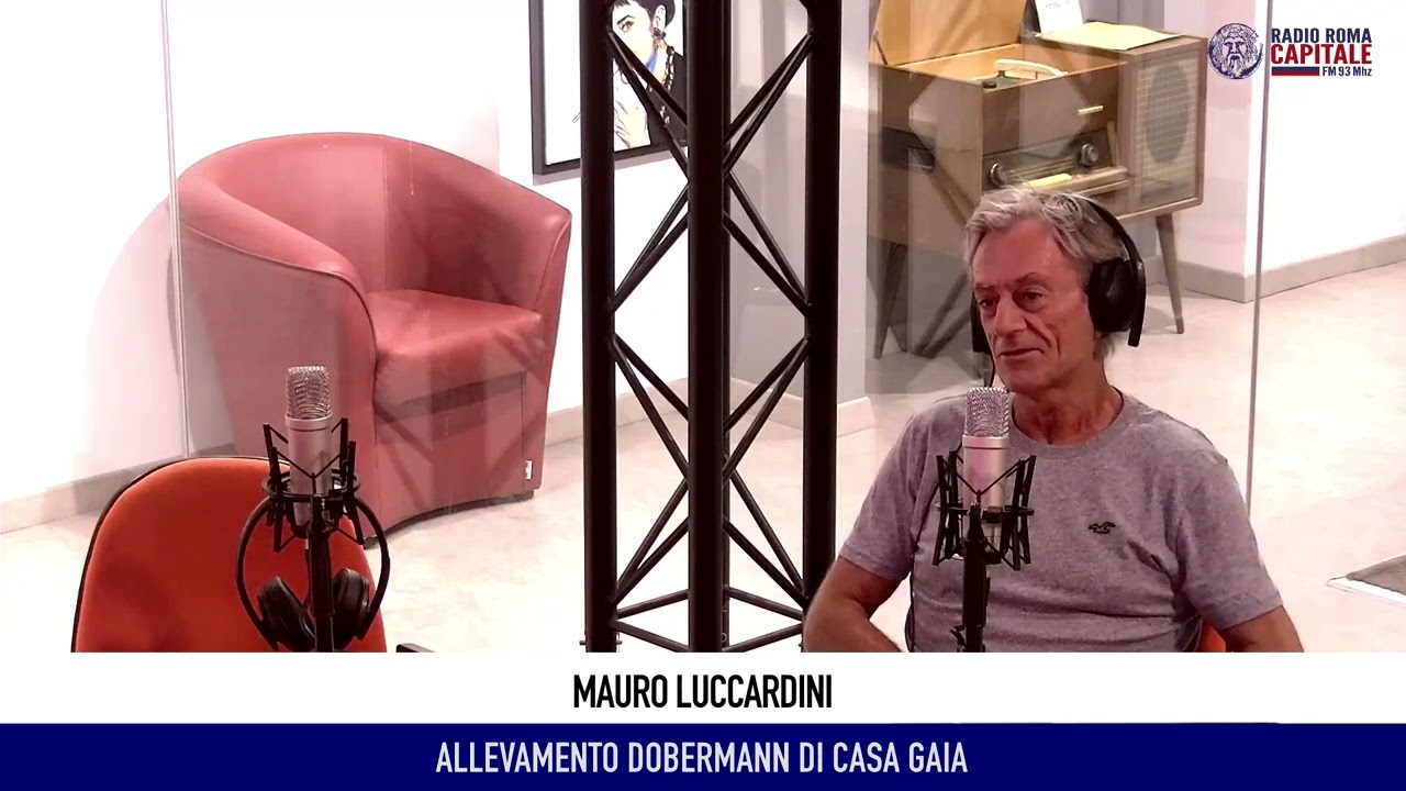 Intervista a Mauro Luccardini di Allevamento Dobermann di casa Gaia