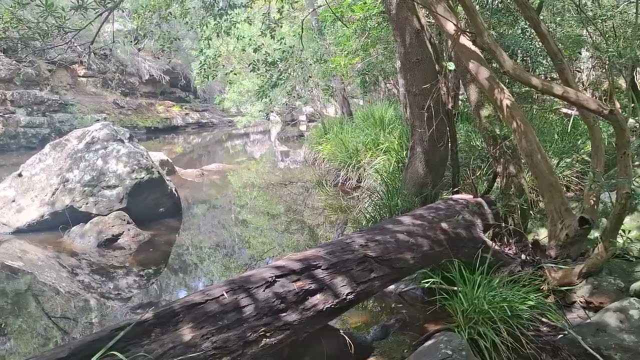 Bens Walk