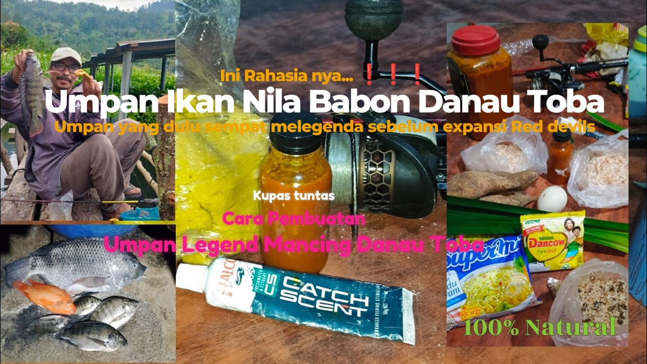 Mancing Danau Toba edisi Cara membuat umpan ikan nila danau toba