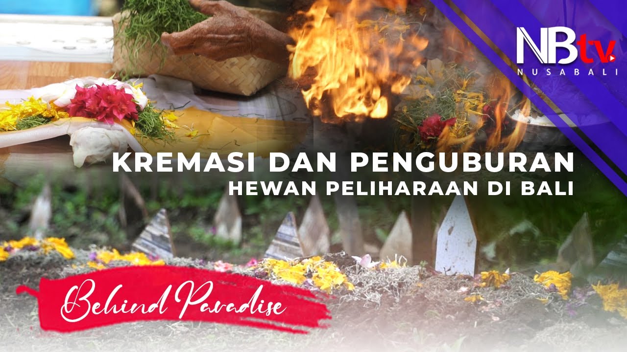 Unik!! Kremasi dan Penguburan Hewan Peliharaan di Bali - Behind Paradise