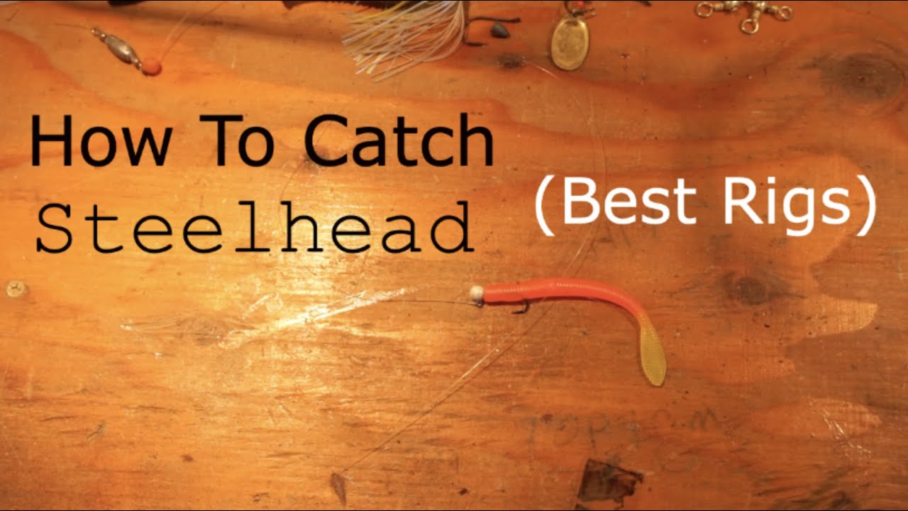 Every Rig I've Caught a Steelhead On!! (so far)