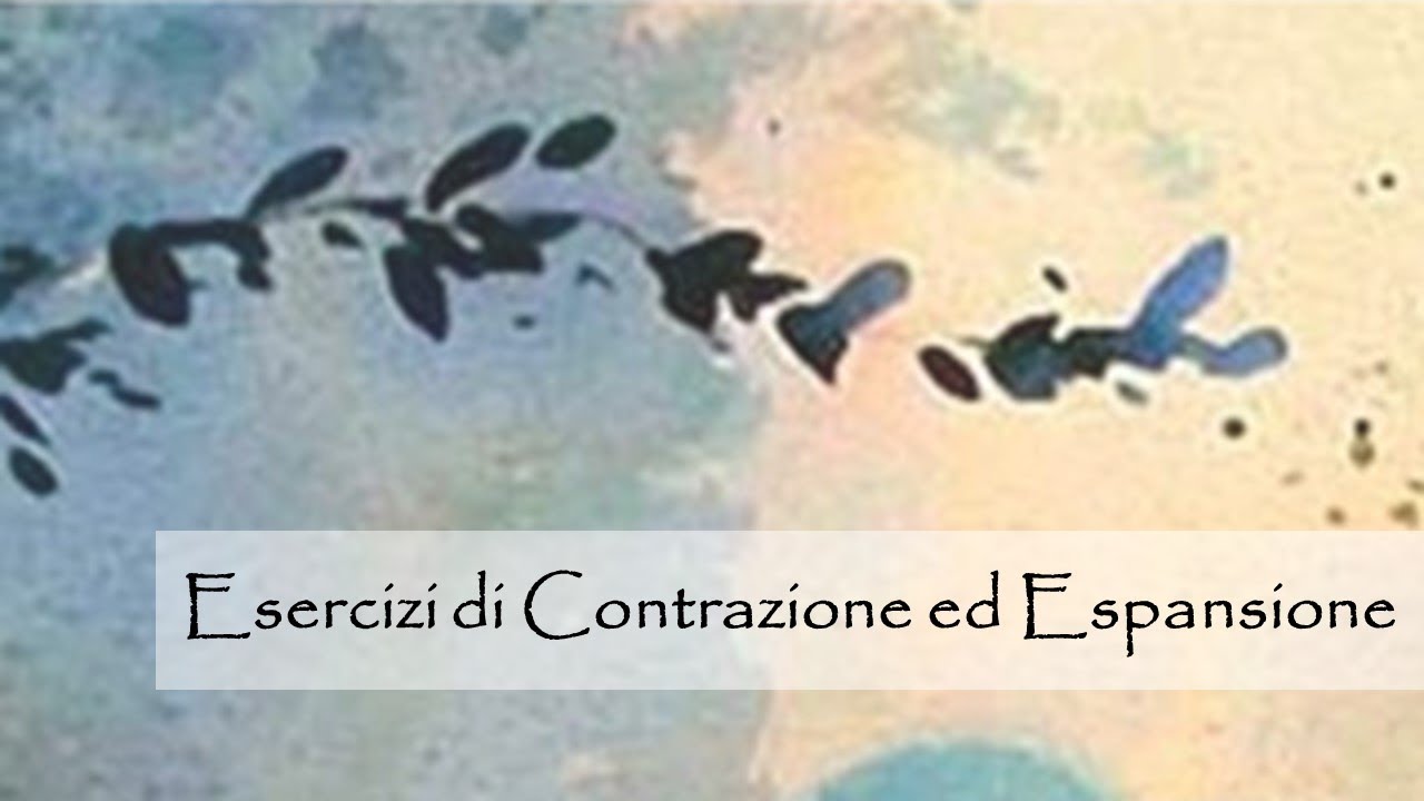 Esercizi di contrazione ed espansione - Contraction and expansion exercises