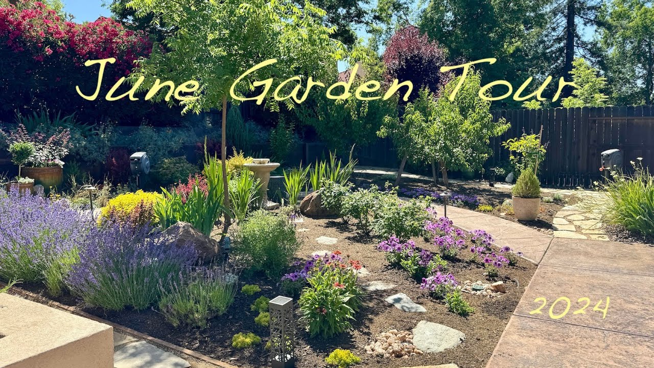 June Garden Tour - 2024 #gardening #zone9b #californiagarden