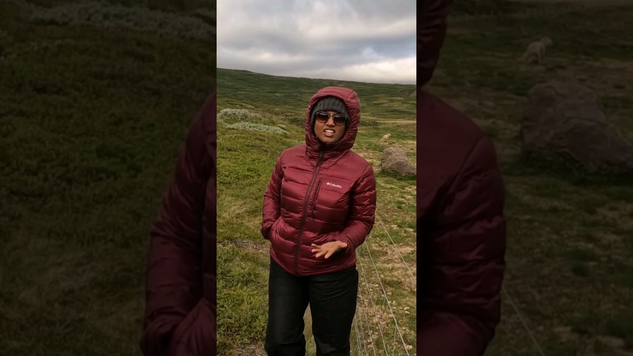 🤯 ICELAND காரங்கலுடன் பேச்சு #tamilvlogs #usatamilvlog #tamilvlogger