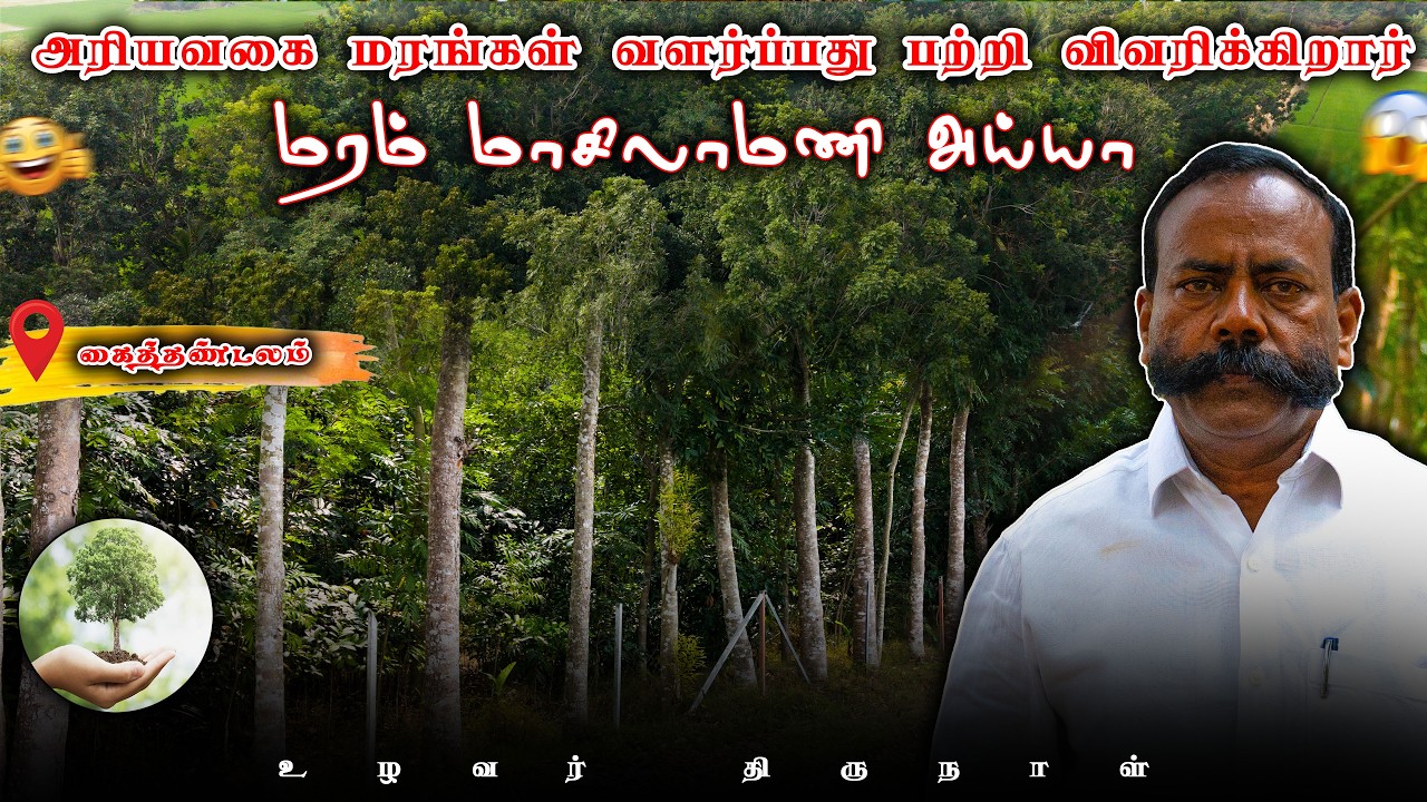 செம்மரம் | சந்தன மரம் | சிவப்பு சந்தனம் | ஆயிரத்துக்கும் மேற்பட்ட அரியவகை மரங்கள் வளர்ப்பு முறை