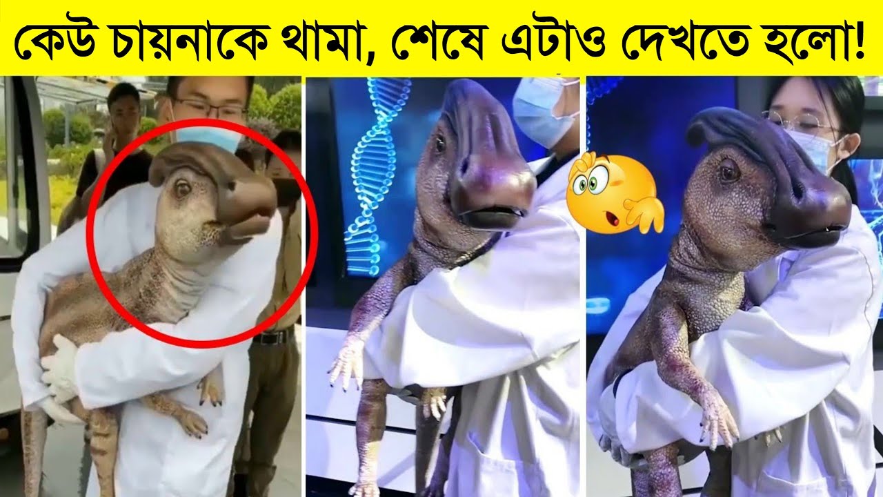 চায়নার যত পাগলামি বুদ্ধির আবিস্কার | Top 10 Unique Videos Caught On Camera | Mayajaal New video