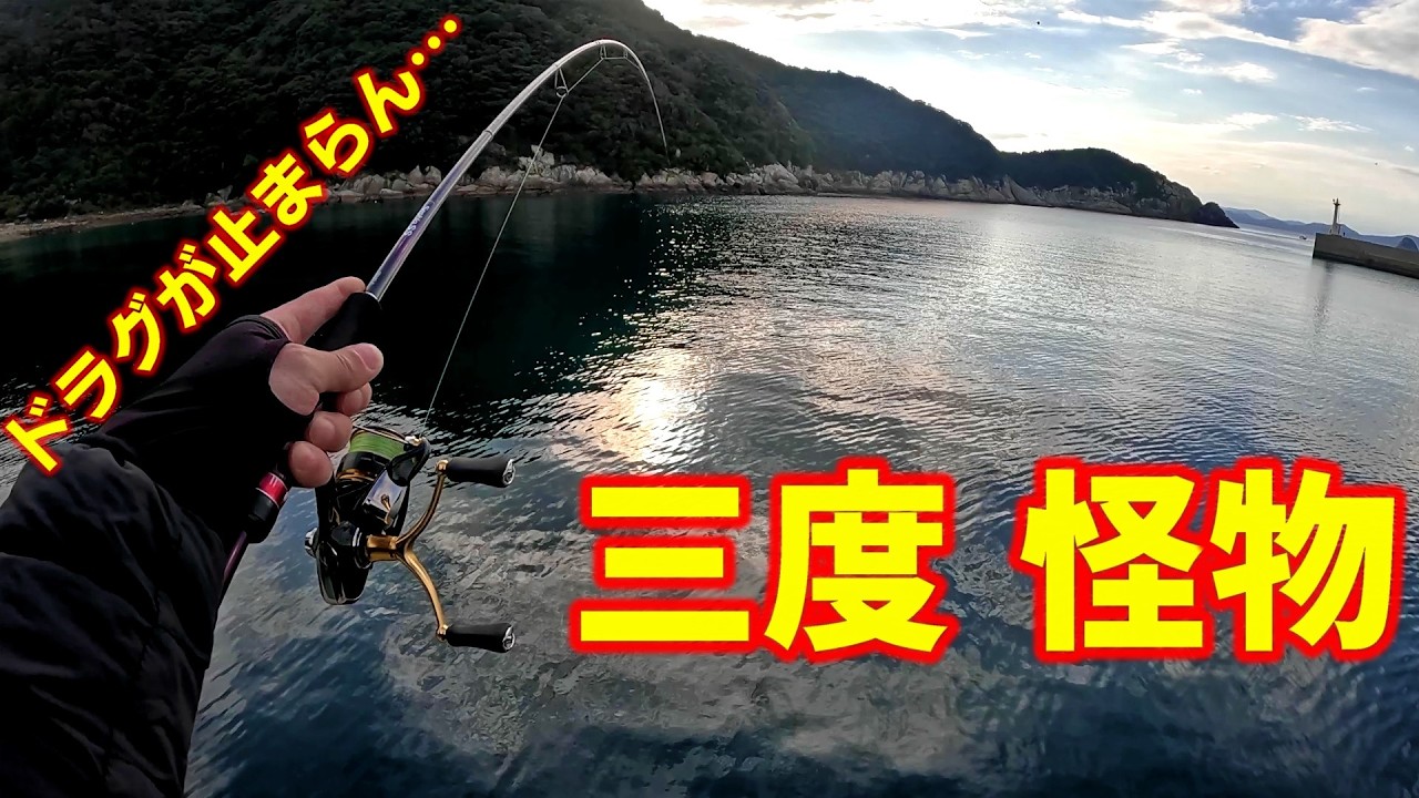 【エギング無双】初心者が堤防でアオリイカ爆釣！？キロアップの怪物も出現！