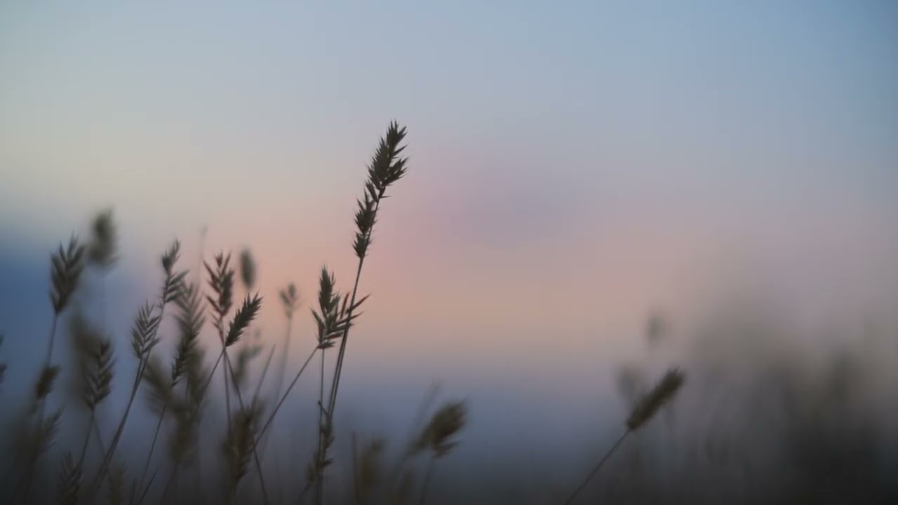 Instrumental Worship Music | Reflexion, Praying, Studying, Working