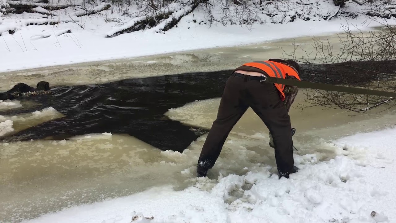 Jahimehed p&auml;&auml;stsid metssead