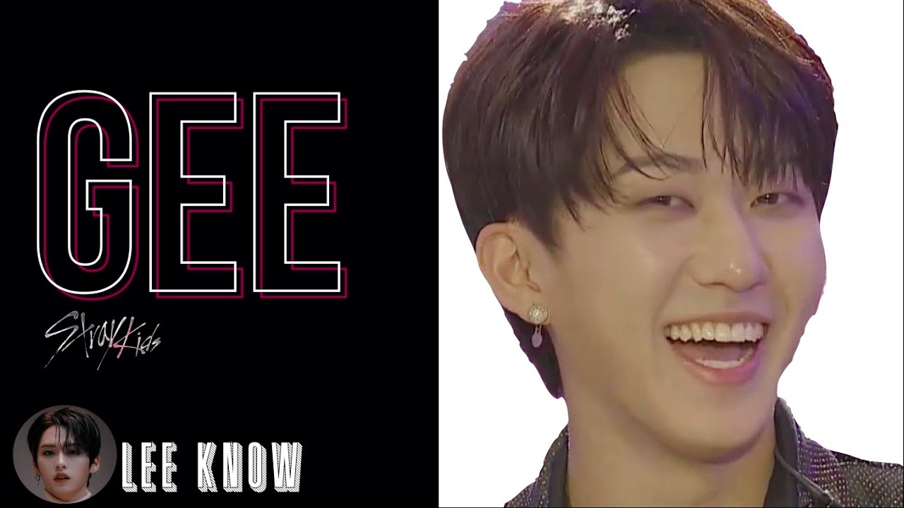 How Would Stray Kids Sing 