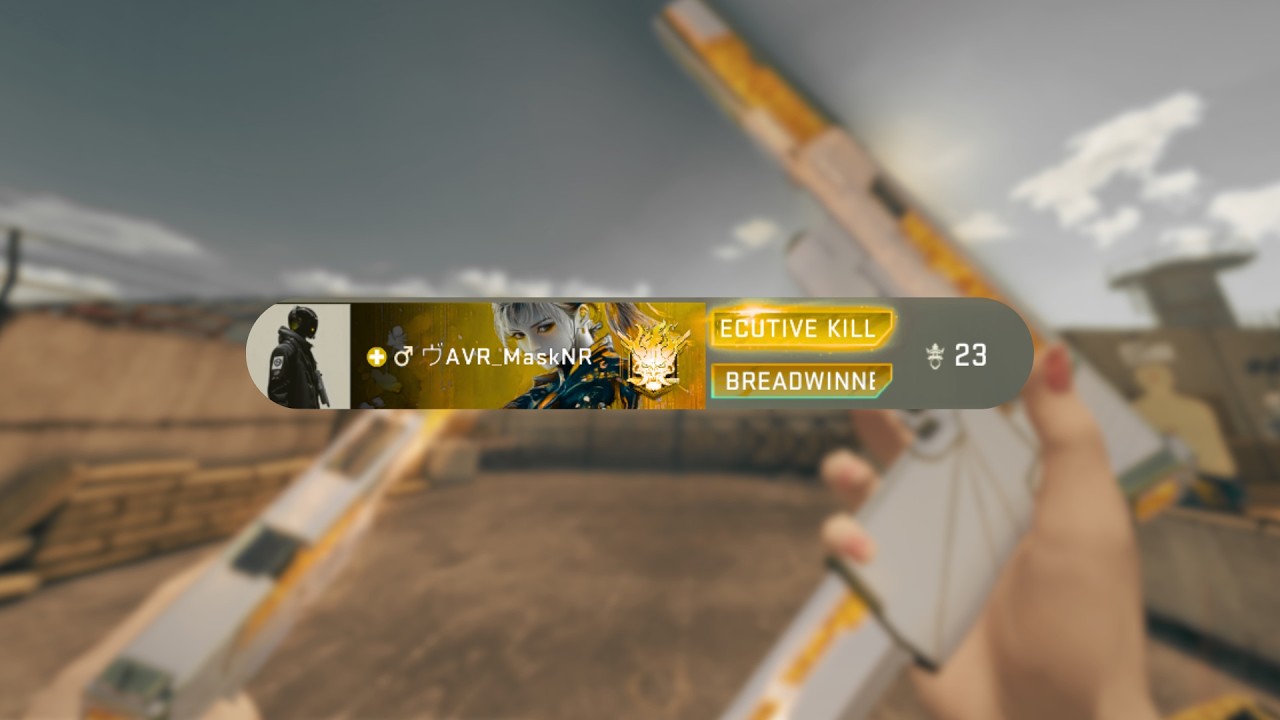 BLOOD STRIKE 4K 60fps | 23 kill | FR