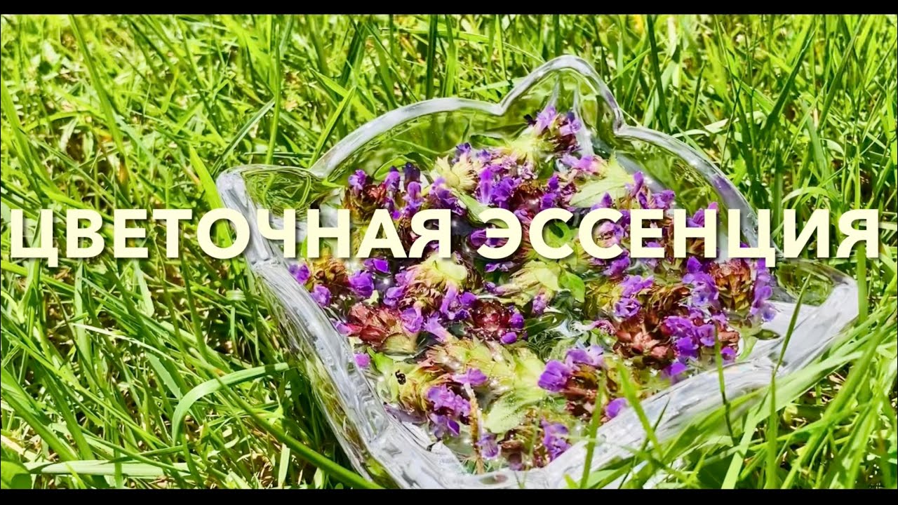Цветочная Эссенция/ Разумная Вода/ Солнечная Настойка/ Self-Heal Flower Essence