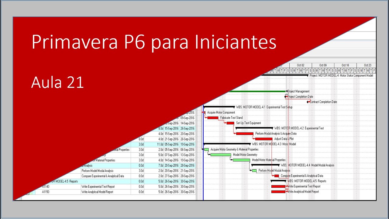 Curso Primavera P6 para Iniciantes Aula 21 #primaverap6