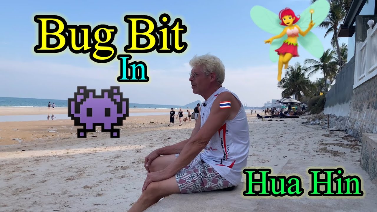 Жизнь среди насекомых 🐜 в Хуахине, Таиланд 🇹🇭
