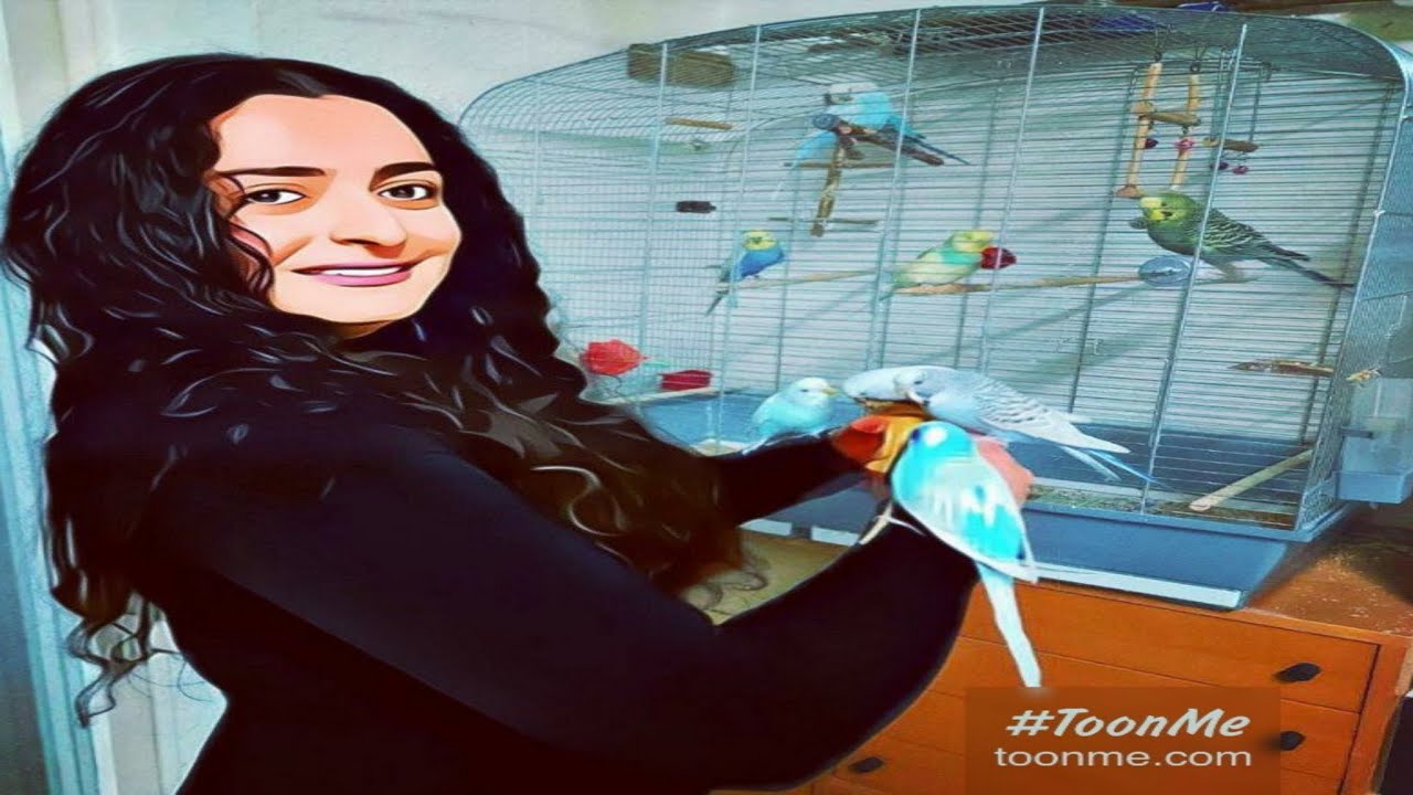 الفاش الرئوي عند الطيور (البادجي) و أنواع الفاش ٧، أعراضه ، علاجه و طرق الوقاية منه 💊💉🦜