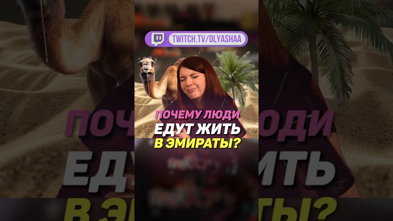 Why do people move to the UAE? | #olyasha #olyashaa #twitchstream