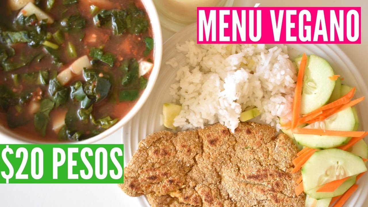 MENÚ VEGANO DE $20 PESOS/1 USD-EURO / MILANESA, SOPA Y ENSALADA- VIDA VEGANA