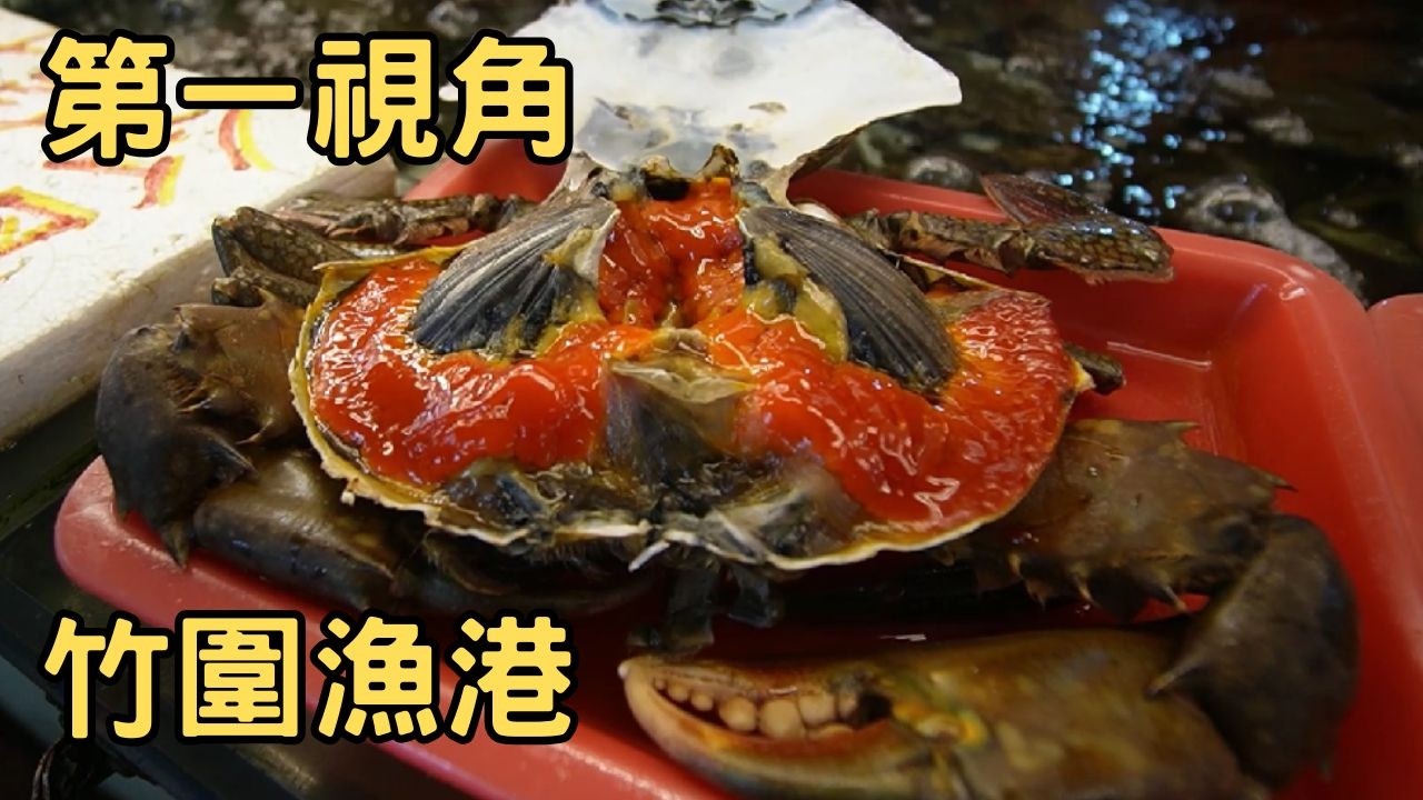 竹圍漁港 #竹圍漁港