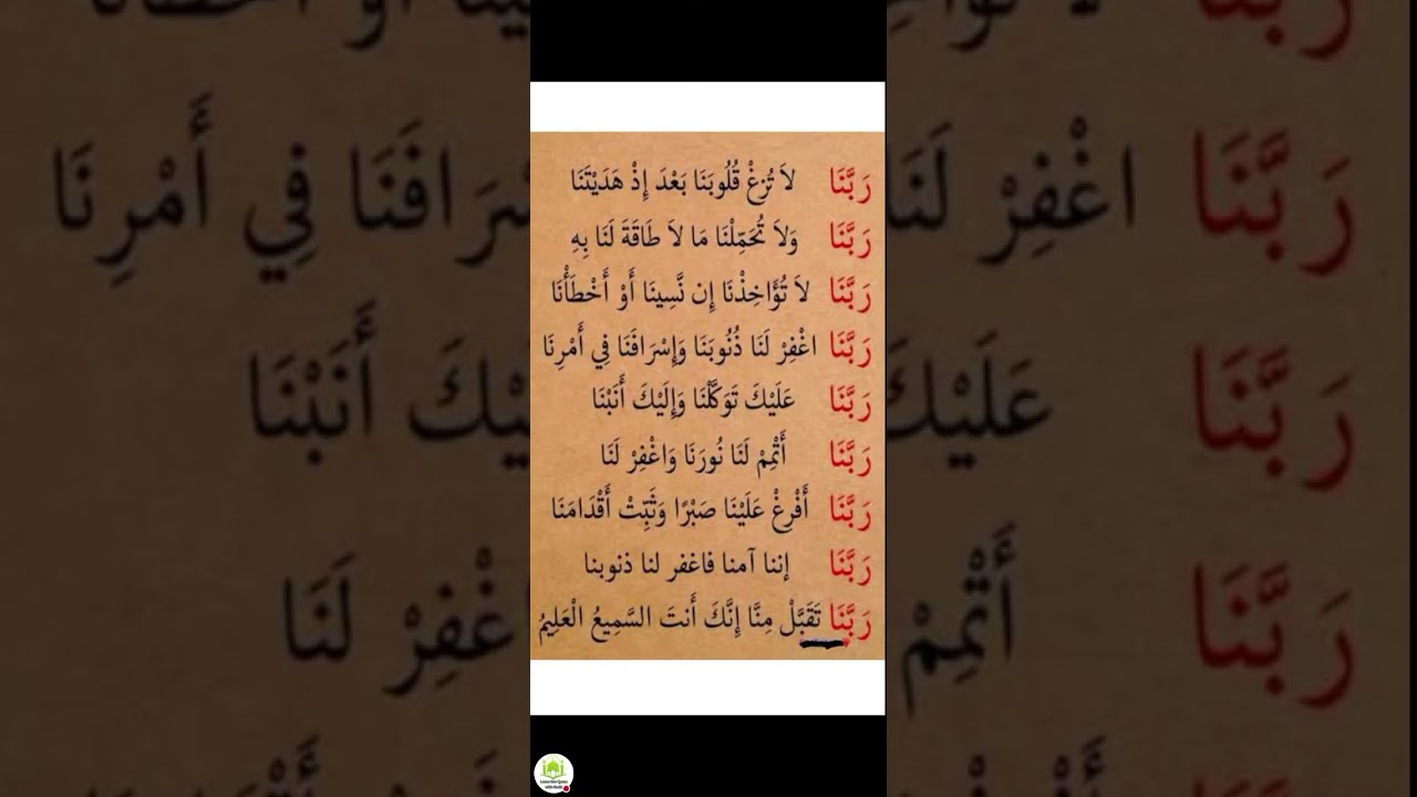 Learn Quran | Quran teaching for beginners, women, kids with Tajweed, Translation | Tilawat Quran