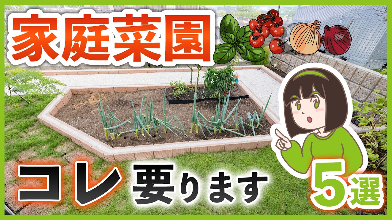 家庭菜園を始めるなら必見👀成功のために必要な外構ポイント 5選🥕お庭のプロが解説します【新築注文住宅】