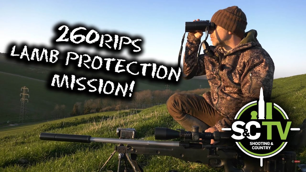 S&C TV | Foxing with Mark Ripley 260RIPS, 11 | Lamb protection mission... 3 foxes in the bag!