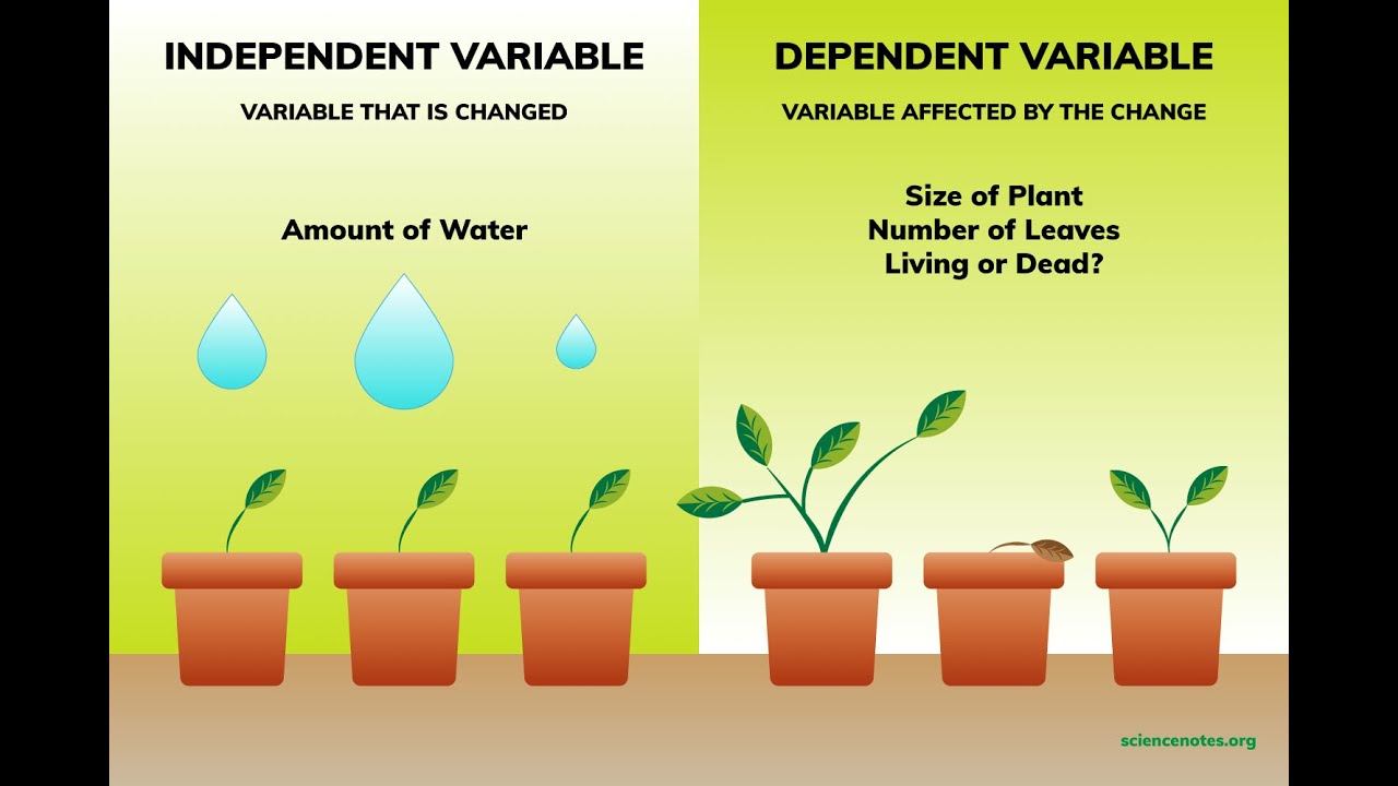 GEDမှာ Independent Variable Vs Dependent Variable