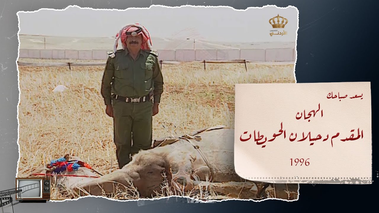الهجن في الأردن ولقاء ممتع مع المقدم دحيلان الحويطات 🐪😍