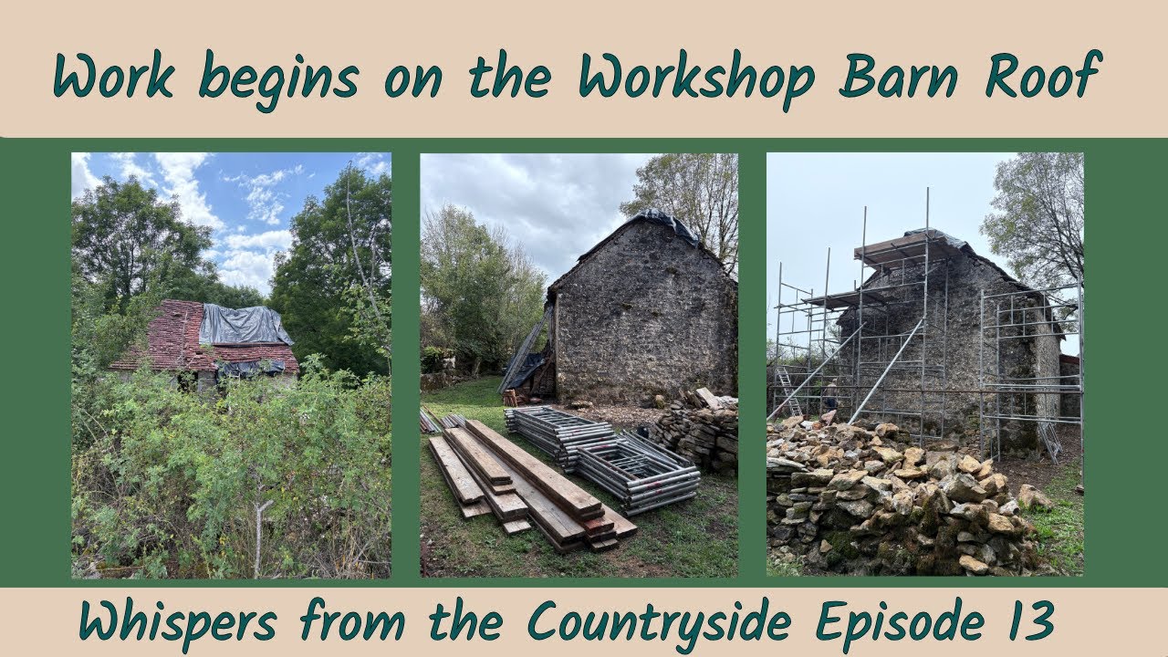Workshop Roof Replacement Begins! | Whispers from the Countryside Ep. 13