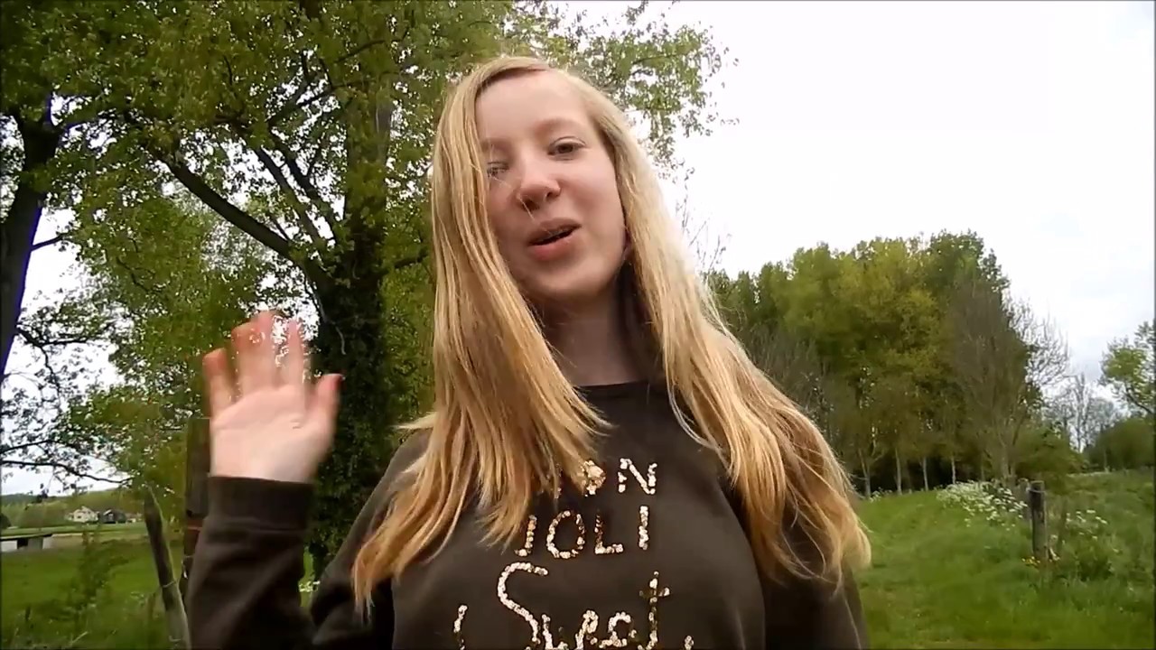 Het Griekse lidwoord