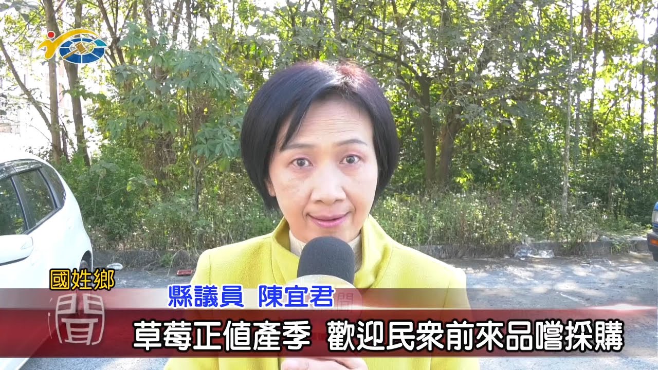 20210118 民議新聞 草莓正值產季 歡迎民眾前來品嚐採購(縣議員 陳宜君)