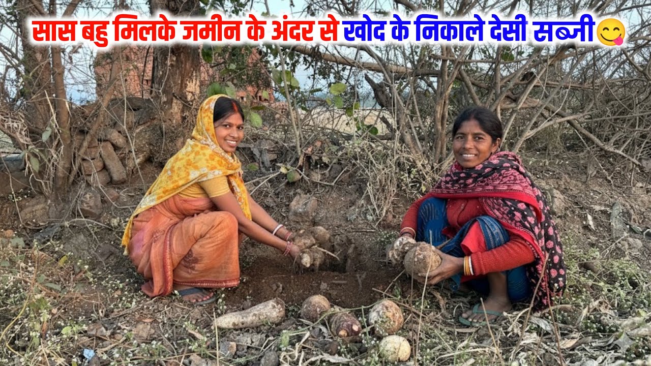 सास बहू मिलके जमीन के अंदर से खोद के निकाले देसी सब्ज़ी😍#villagelife Couple Vlog 