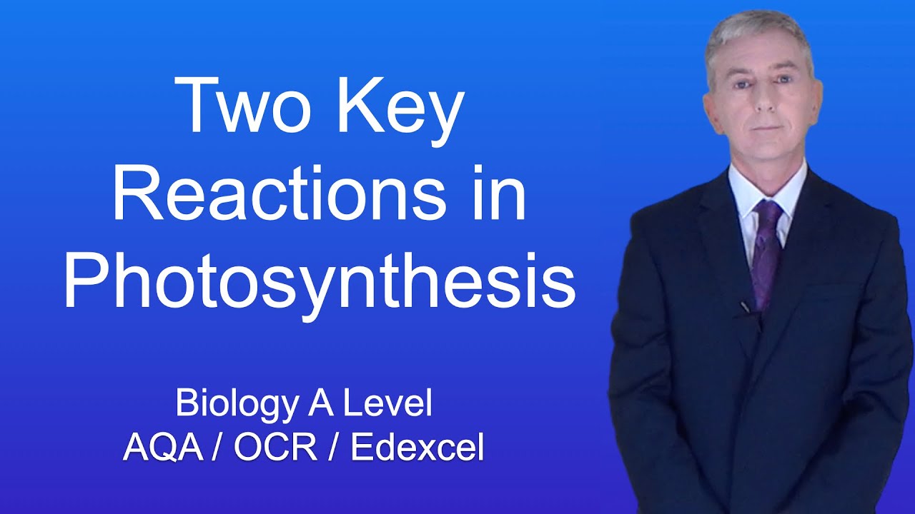 A Level Biology Revision (Year 13) 