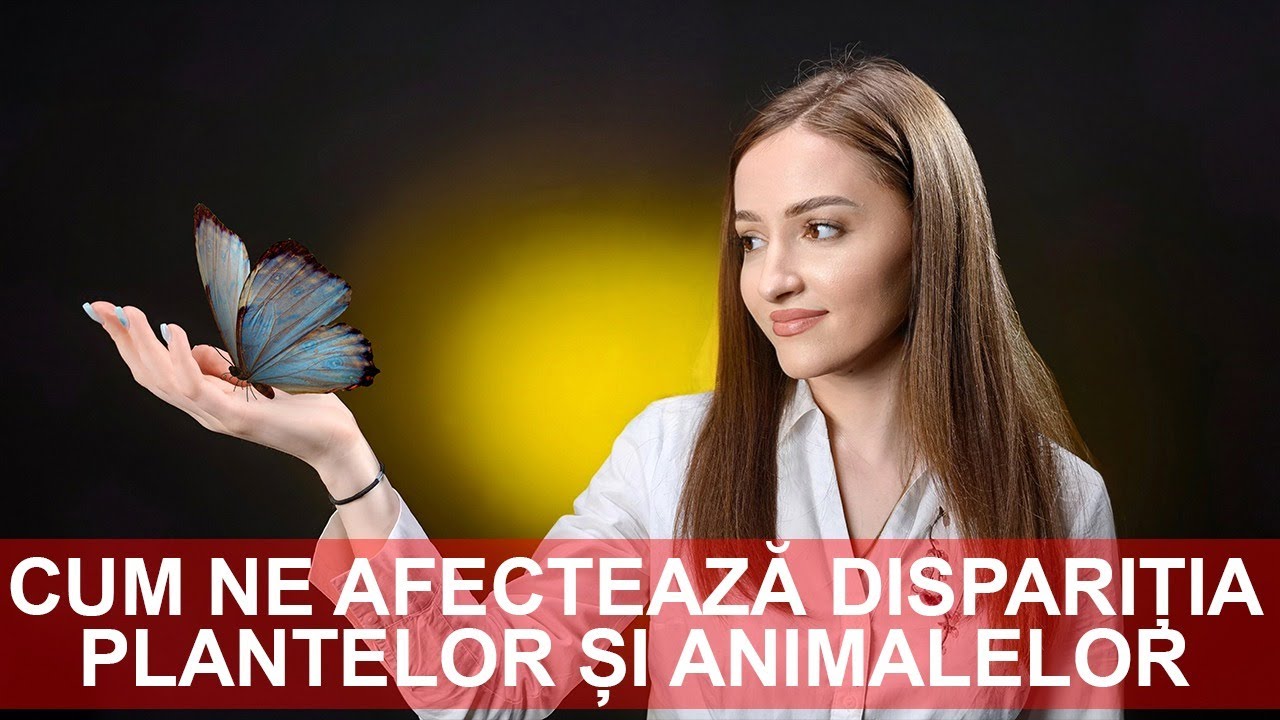 Cum ne afectează dispariția plantelor și animalelor - CaseBune.ro