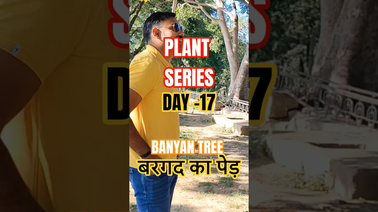 BANYAN TREE -This is not one tree..it’s a whole forest!”